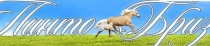 Самую миниатюрную лошадку Челябинска покажут на выставке «АГРО-2014»