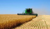 Минсельхоз России направит на развитие сельских территорий Челябинской области более 40,6 миллиона рублей