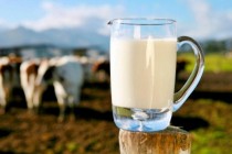 На развитие молочного производства кабмин РФ выделил Челябинской области 51,6 млн
