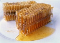 Мёд. Законы выживания в природе