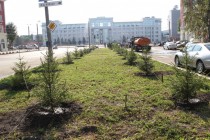 Утверждена адресная программа по озеленению Челябинска на 2014 год