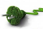 Голландцы научились получать электричество из энергии живых растений
