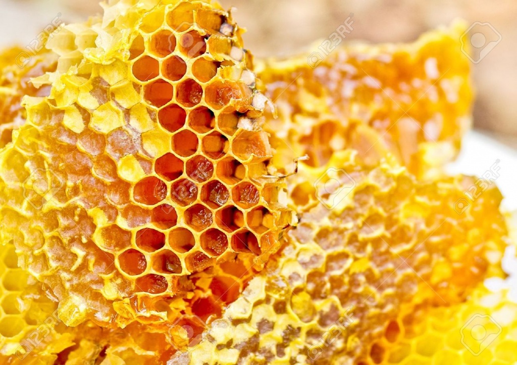 17894686-Honey-comb-background-Bee-honeycombs-wax-with-honey-Stock-Photo.jpg
