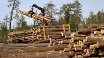 На Южном Урале создана ассоциация промышленников и предпринимателей лесного комплекса