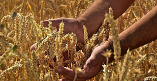 Куда экспортировать зерно в 2023 году – обсудим на МАК!