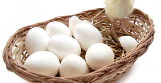 Элитное и белоснежное